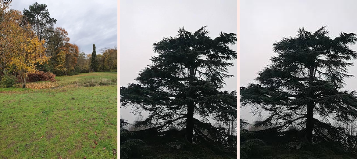 Parc du Gros Buisson - Photo 1