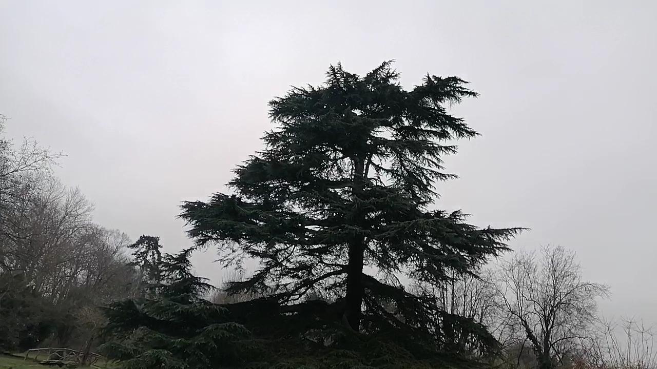 Parc du Gros Buisson - Photo 3